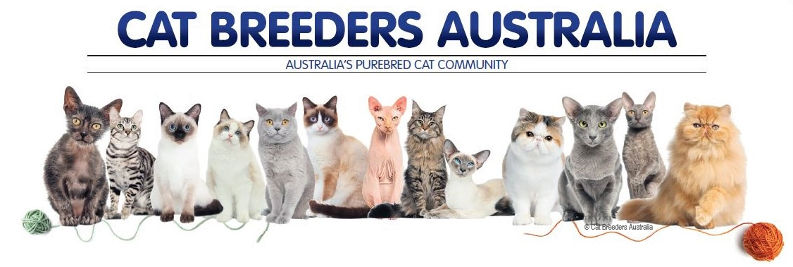 Australian sales cat breeds